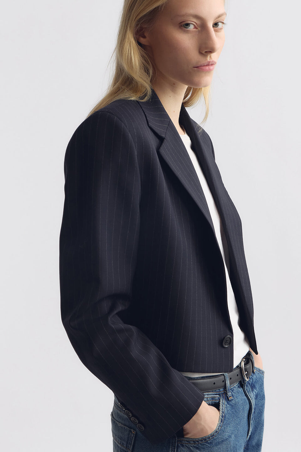 SWAN WOOL JACKET IN MIDNIGHT PINSTRIPES