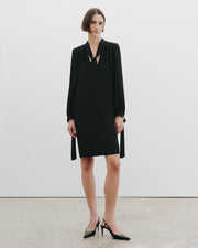 VADA TIE NECK SILK DRESS IN BLACK