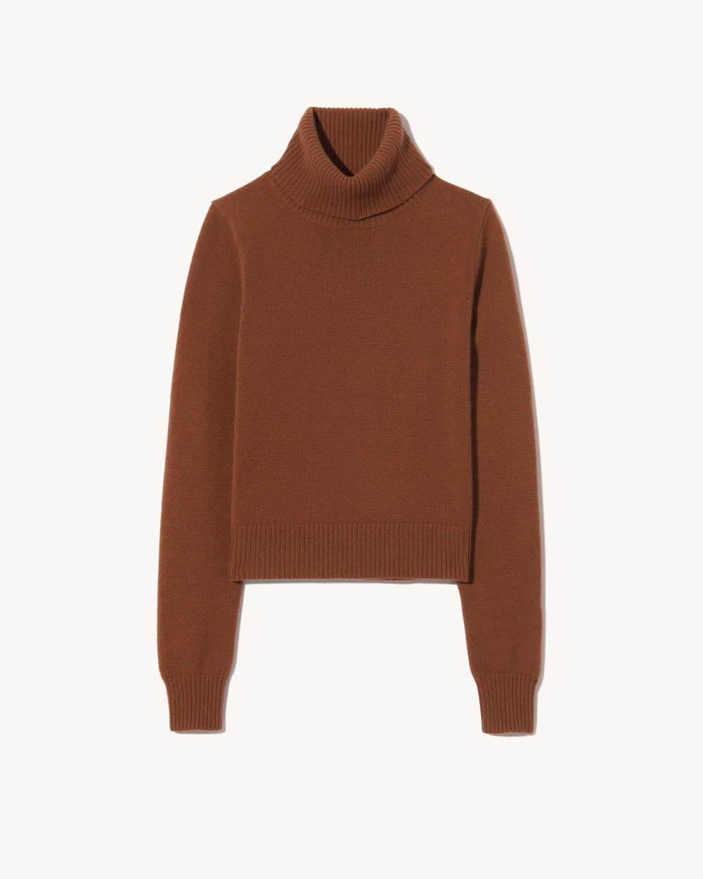 HOLLYN CASHMERE TURTLENECK SWEATER IN COFFEE